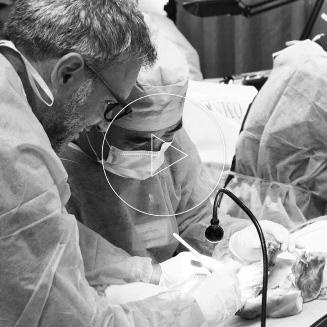 Photo Gallery Implantology