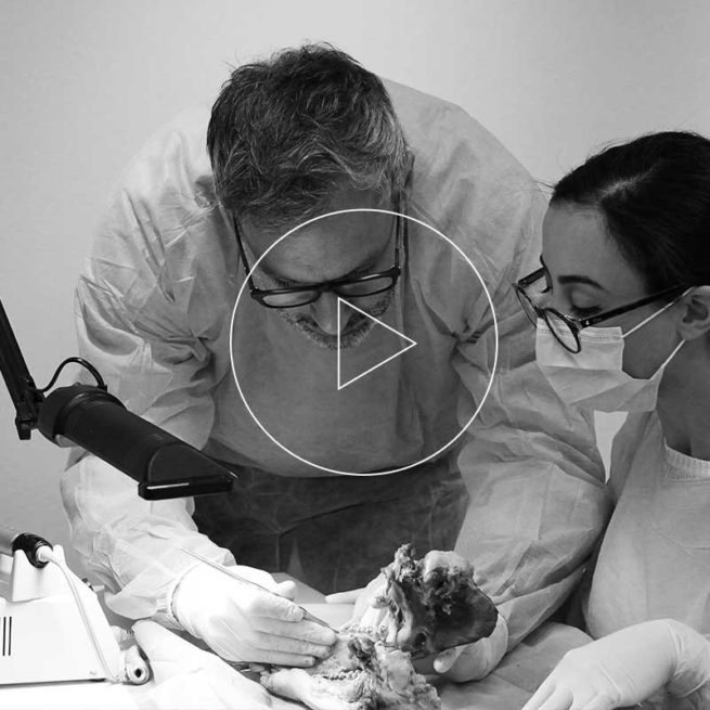 Hard and Soft Tissue Managment Photo Gallery