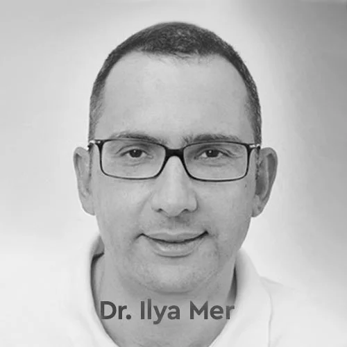 Dr. Ilya Mer CV